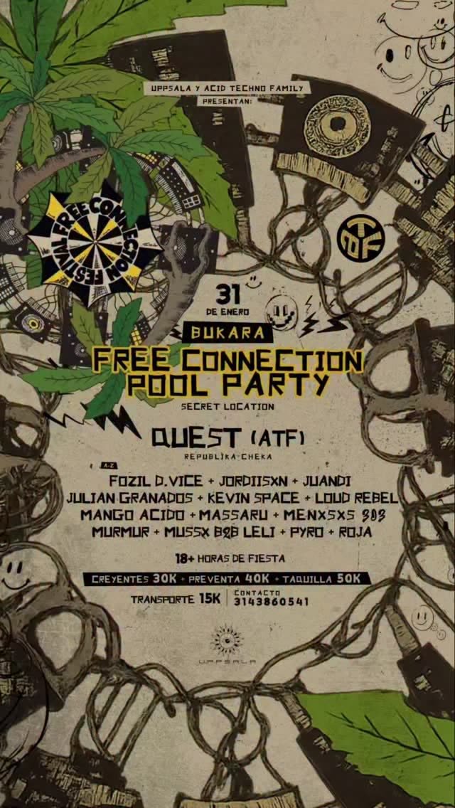 Flyer de Free Connection · Pool Party